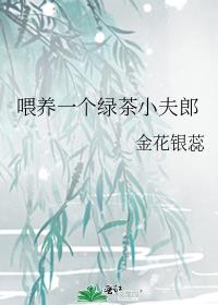 喂养一个绿茶小夫郎