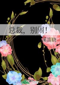 总裁，别闹！