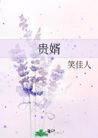 贵婿