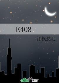 E408