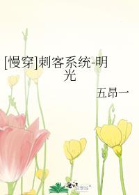 [慢穿]刺客系统-明光