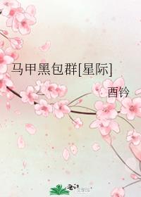 马甲黑包群[星际]