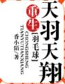重生天羽天翔(番外)