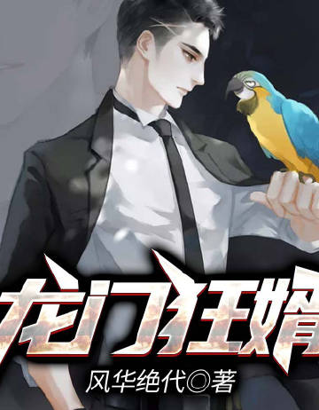 龙门狂婿