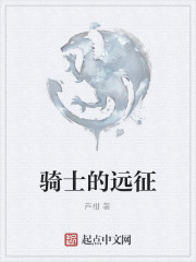骑士的远征